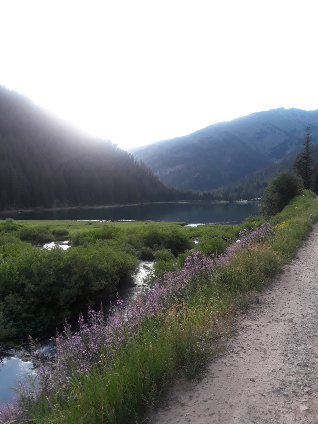 Nevada, Idaho, Wyoming: The Learning&nbsp;Curve